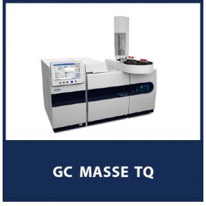 GC MASSE TQ